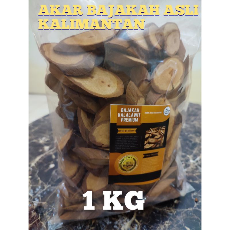 

AKAR BAJAKAH KALALWIT MERAH ASLI KALIMANTAN