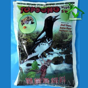 Jual Pakan Burung Kacer Anis Kembang Murai Cucak Ijo Jalak Rumput