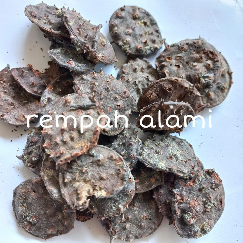 

seprantu Kering 100/200gr