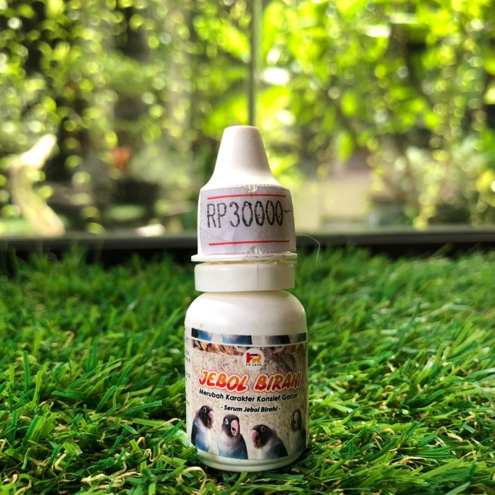 Obat Vitamin Suplemen Ramuan Penggacor Burung Lovebird Jebol Birahi