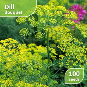 Dill Bouquet 400 seeds