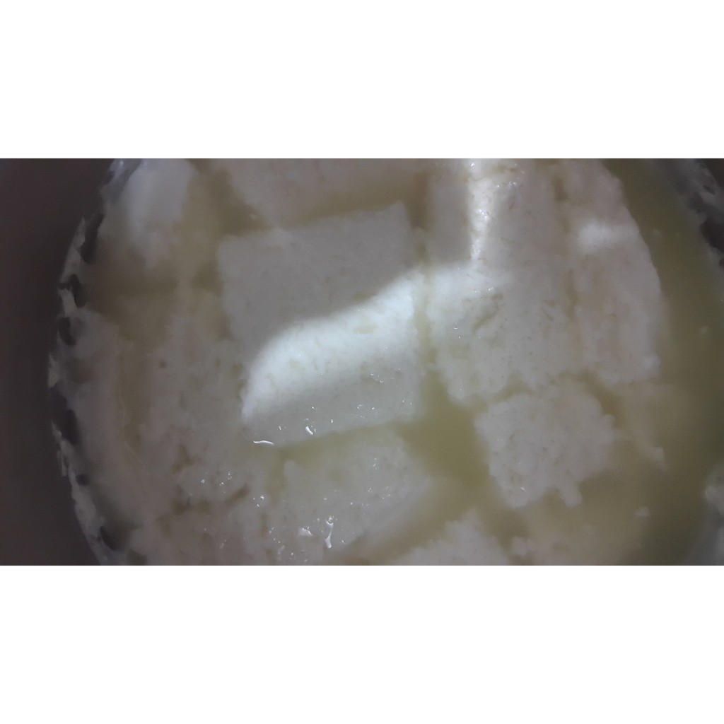 TERBARU enzim rennet TERMURAH