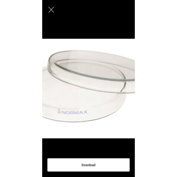 Jual Petridish  Cawan Petri Kaca 90*15mm. Normax LAB KIMIA