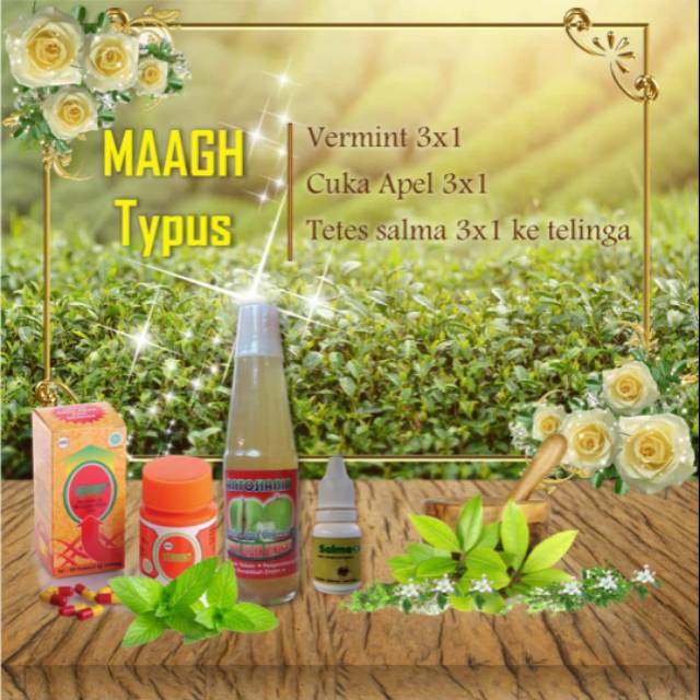 

OBAT HERBAL MAGH,TYPUS Paket hemat pengobatan MAGH,TYPUS with herbal alami