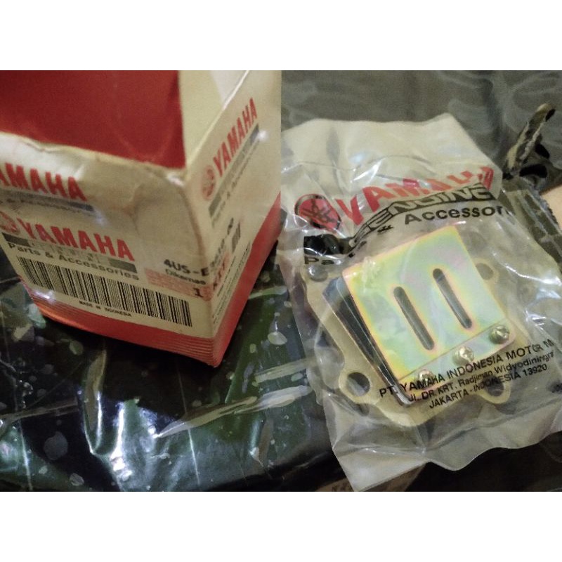 membran fiz r original