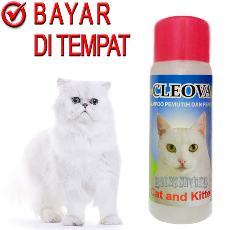 CLEOVA CAT SAMPO KUCING BULU PUTIH SHAMPO PEMUTIH BULU KUNING KOTOR