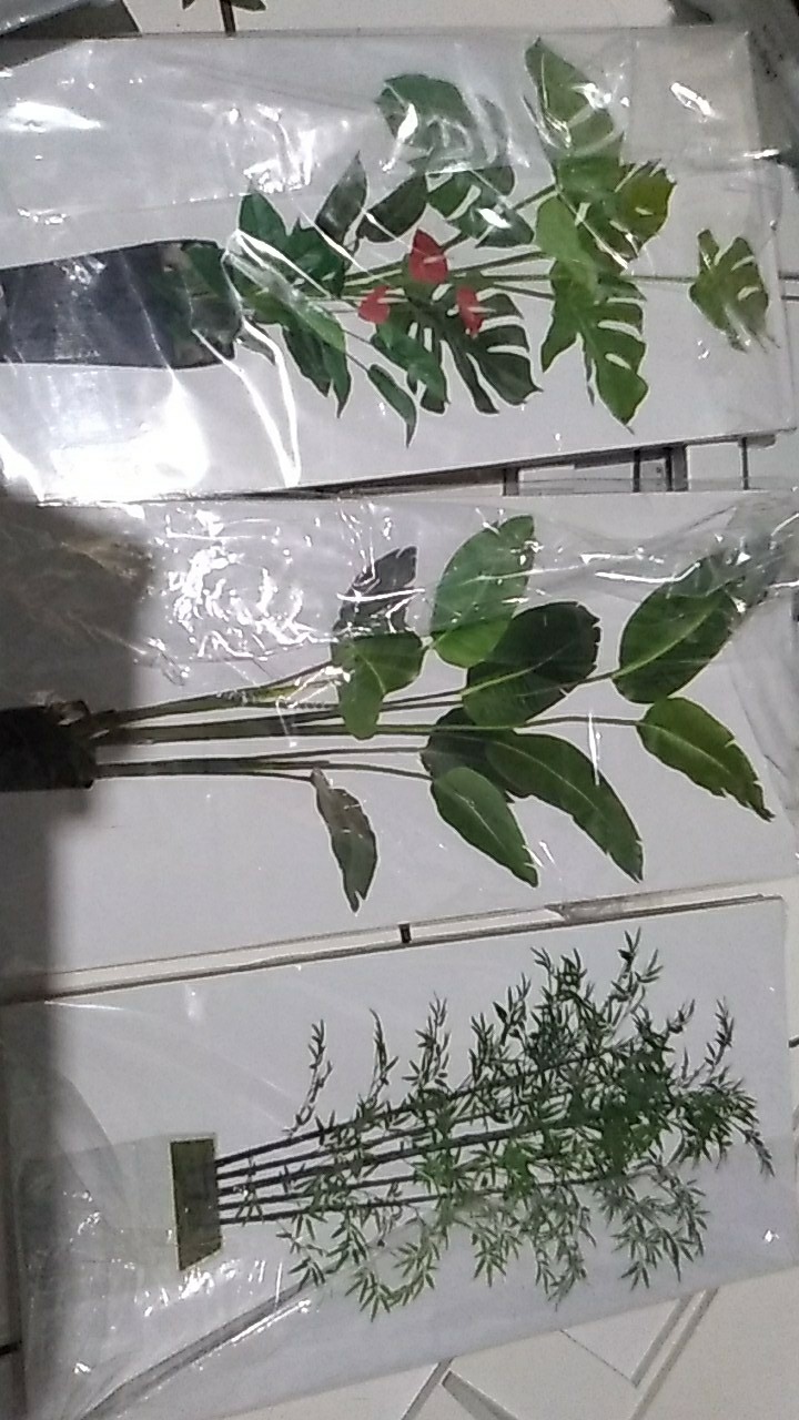 Media Hiasan Dinding Poster Kayu Leaf Dekorasi Rumah 15x30 Lf 22