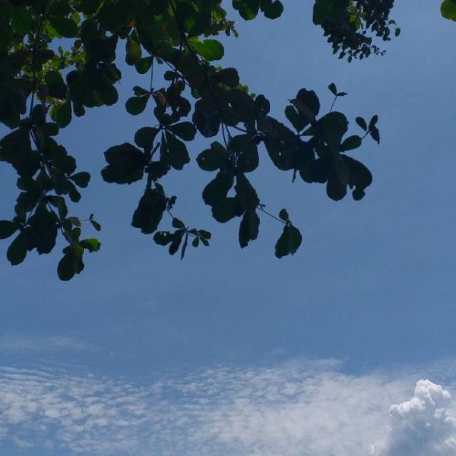 haniyhy23