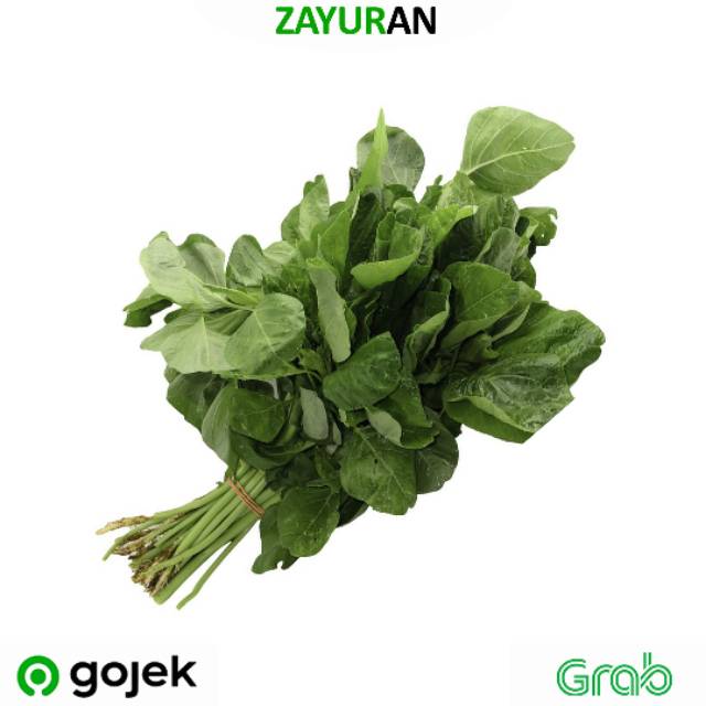 

Bayam | Zayuran