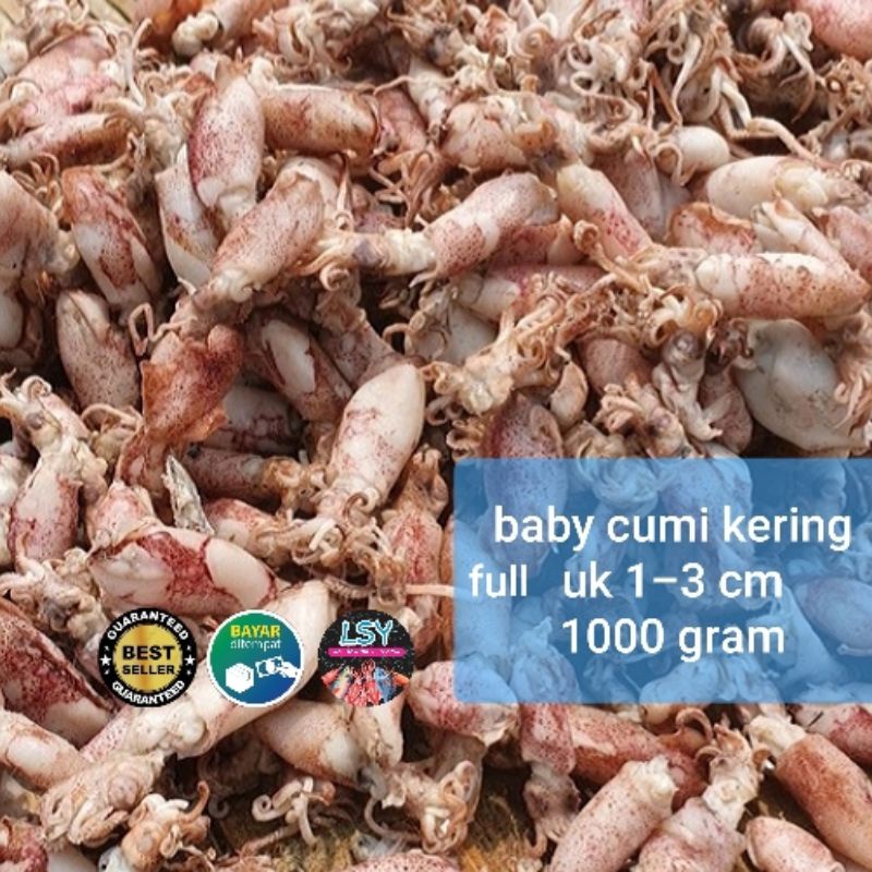 

ikan asin baby cumi / cumi rebus kering full 1000gram / 1 kg