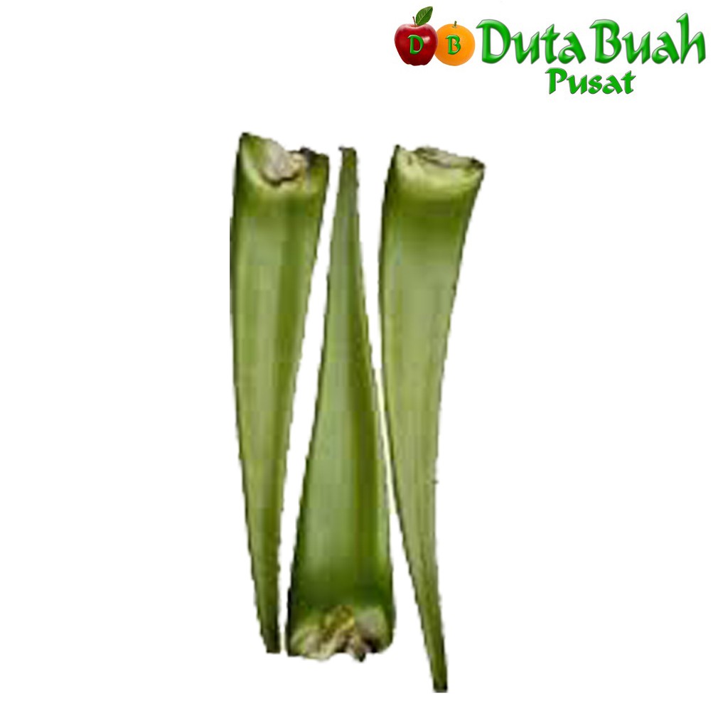 

DUTA BUAH Lidah Buaya Pontianak(0.9-1kg/2-3pcs)