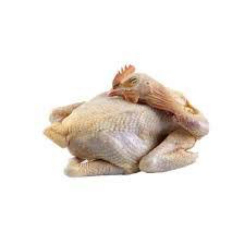 

Ayam Pejantan Ekoran 600-700gr Bakul Sayur Murah Bandung