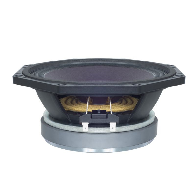 B&amp;C 8PE21 8 inch Mid Range Speaker Italy