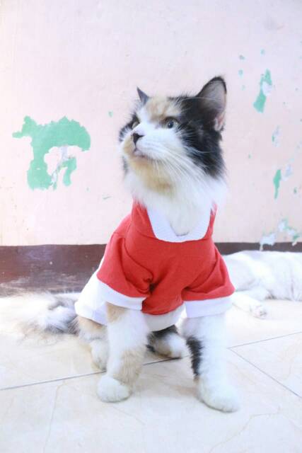 Kaos hoodie spesial 17-an merdeka / kaos hoodie murah untuk kucing dan anjing size S M L XL