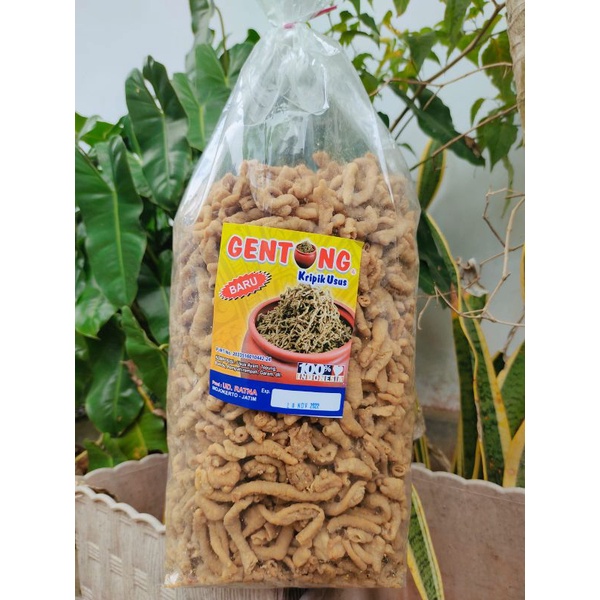 

KERIPIK USUS GENTONG JELAS RASA DAN KUALITASNYA