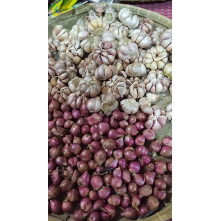 

BAWANG MERAH LOKAL ASLI BUMBU DAPUR BAWANG BUMBU 250GR/500GR BAWANG MERAH BUMBU DAPUR