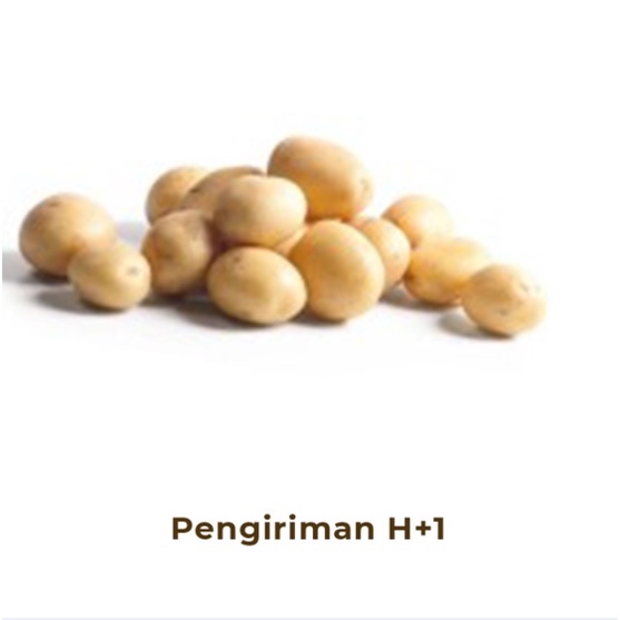 

Kentang Kecil / Baby Potato Fresh