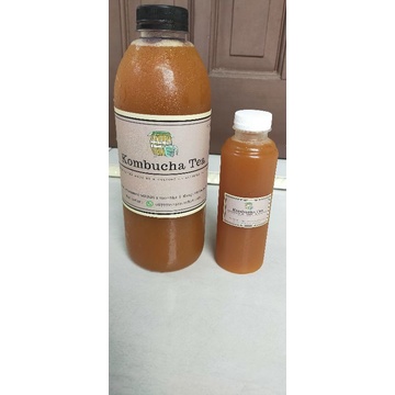 

Teh Kombucha