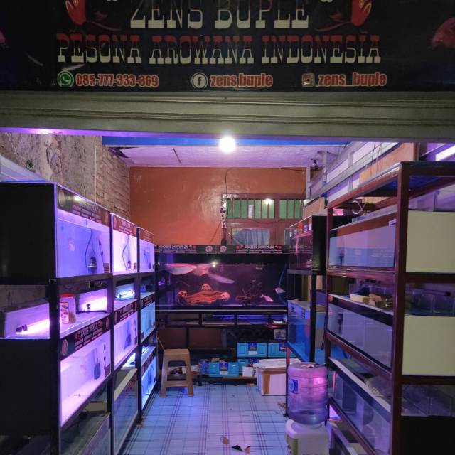 zens.buple87
