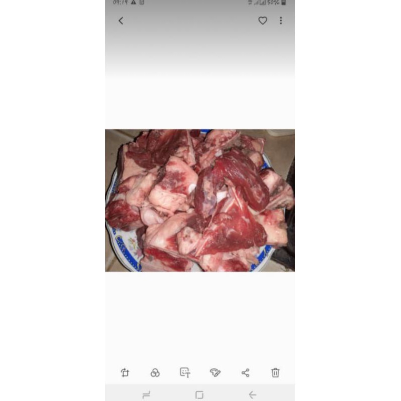 

wagyu