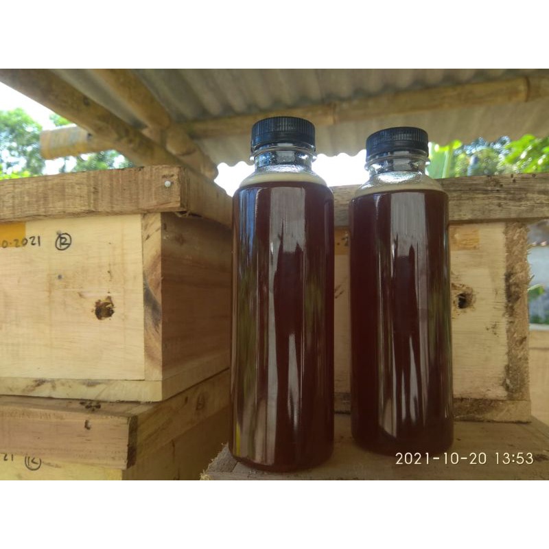 

madu kalgseng