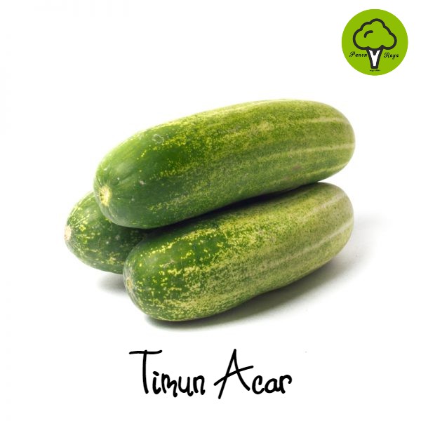 

SAYURAN / TIMUN [500GR]