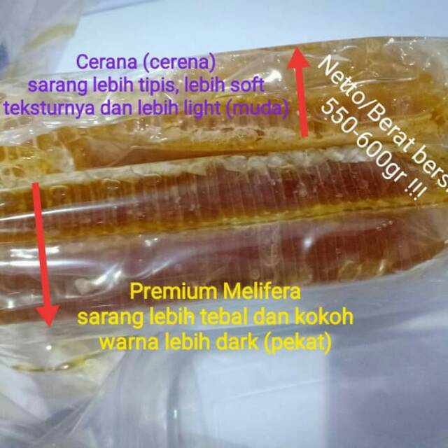 

Promo Minggu Ini_Madu Sarang Melifera Asli