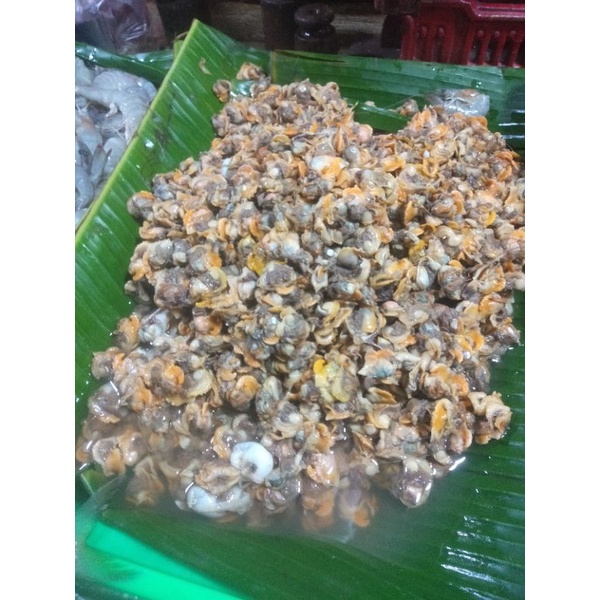 

kerang dara kupas