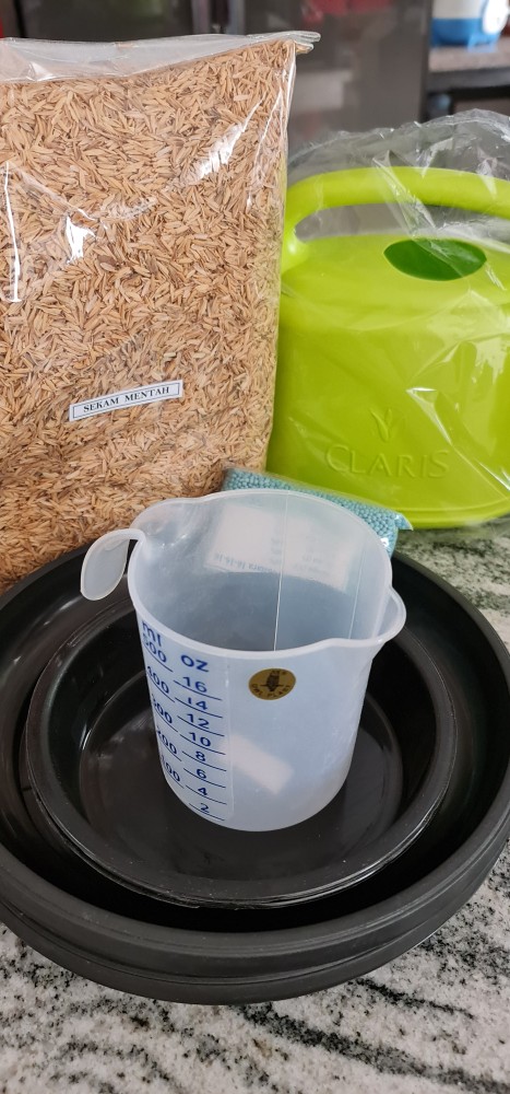 Media Tanam Hydrogel Pengganti Tanah Dan Cantik Untuk Indoor