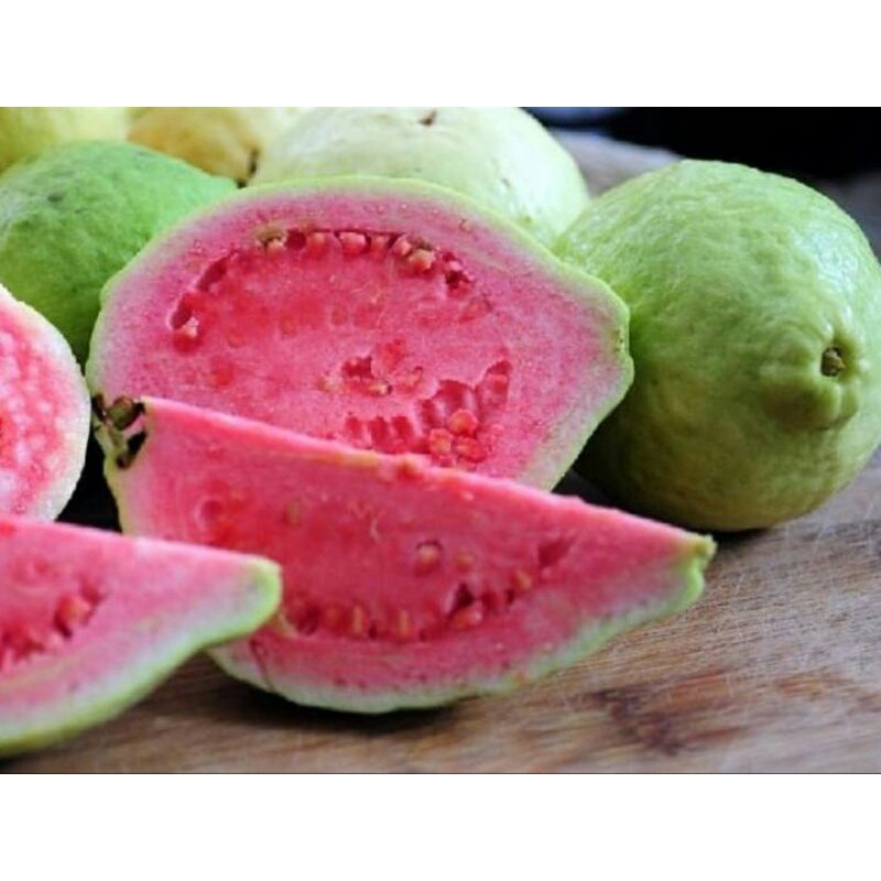 

Fresh jambu biji merah super