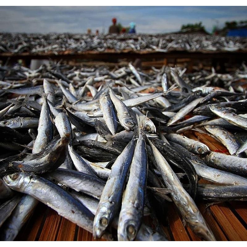 

Ikan asin Layang Rebus
