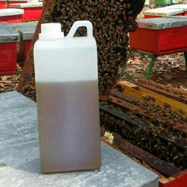 

Madu Randu 1kg