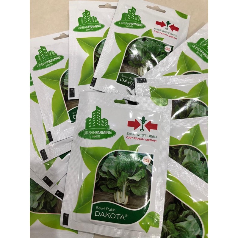 Bibit Benih Sawi Putih Dakota Cap Panah Merah