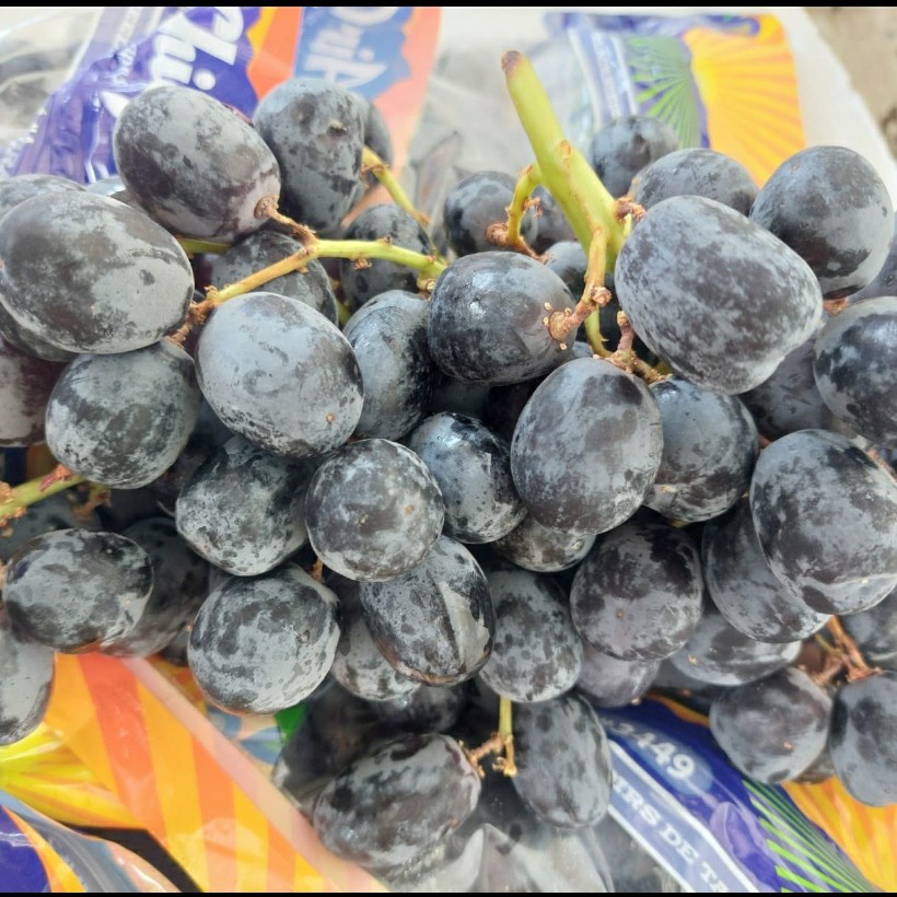 

buah Anggur hitam USA, premium, manis tanpa biji, 1 dus