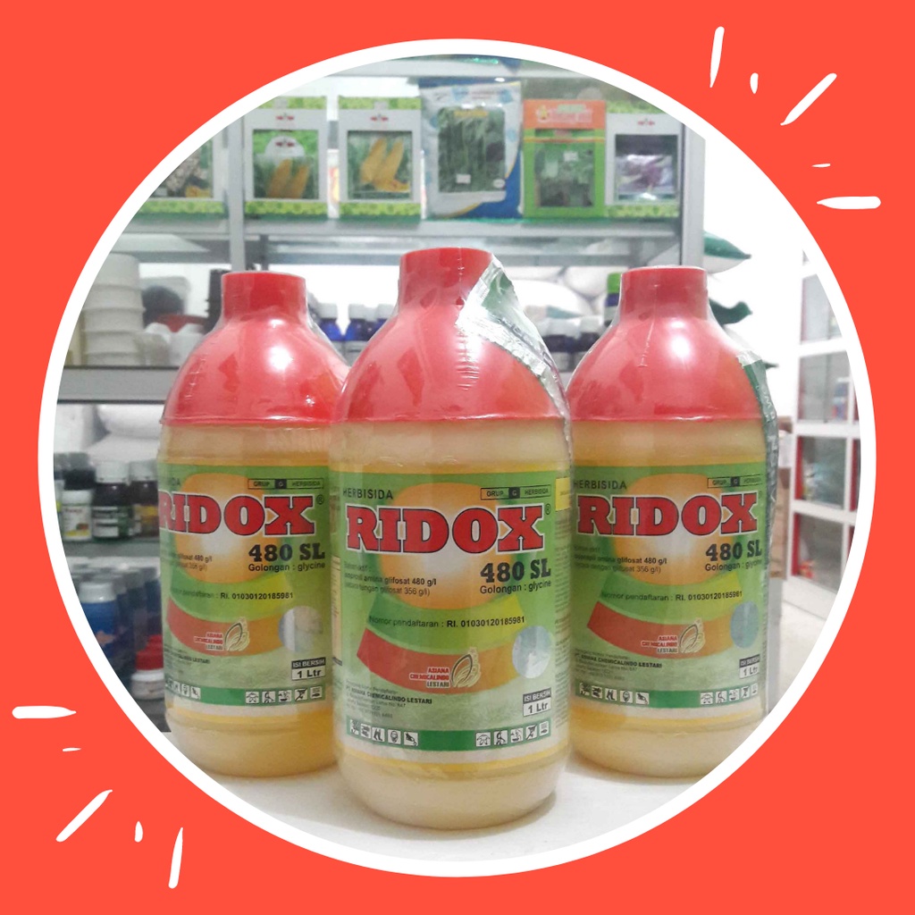 Herbisida Racun Rumput Ridox 480 SL 1 Liter