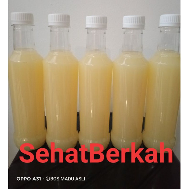 Jual Madu Putih Rasa Royal Jelly Grm Shopee Indonesia