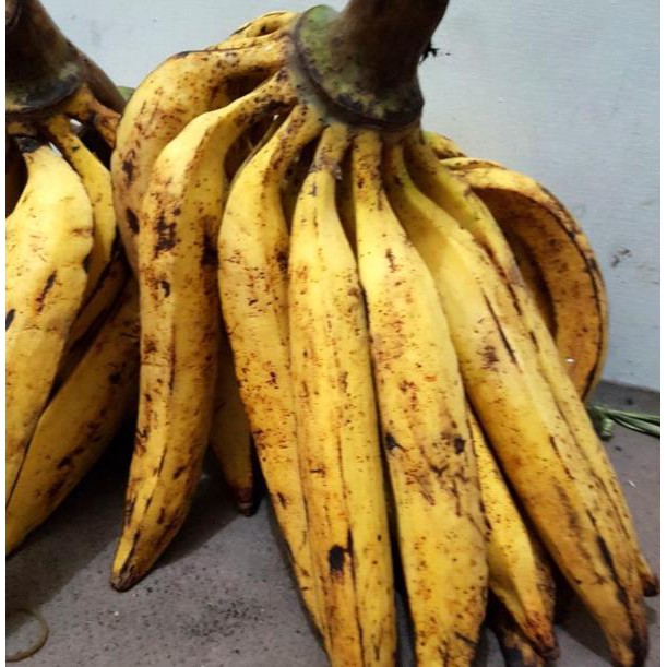 

PISANG TANDUK PER 500 GRAM