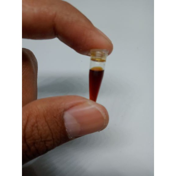 ESSEN ESEN E_91 IKAN MAS PREMIUM ASTIRI CENDANA