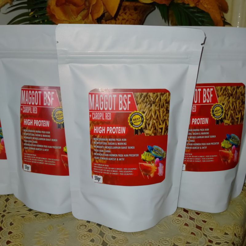 Maggot Bsf 50gr +Caropil Red(Pakan Chana,Louhan,Oscar,Koi,Pbass ,Arwana)