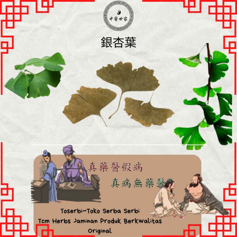 

50gr 银杏叶 Yin Xing Ye Daun Ginkgo Biloba Leaf Tea Folium Ginkgo Biloba Tea
