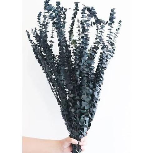 =+=+=+] Preserved Eucalyptus Baby Blue | Preserved Eucalyptus Silver Dollar