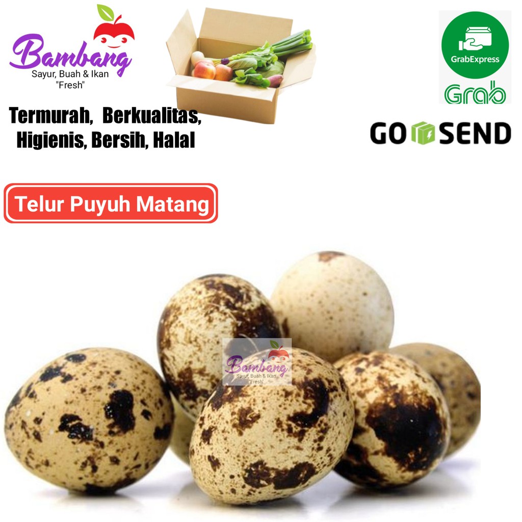 

telur puyuh matang isi 10 butir