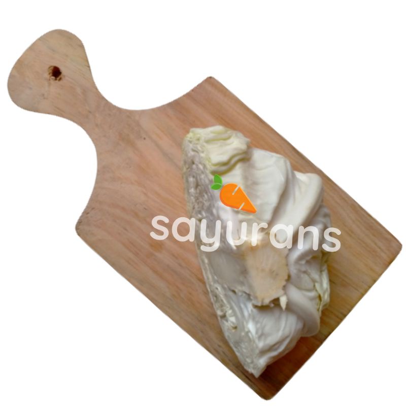 

SAYURANS Kol 1 Bulatan