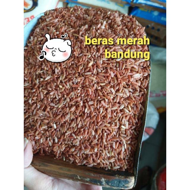 

Beras merah super sosoh 1 KG