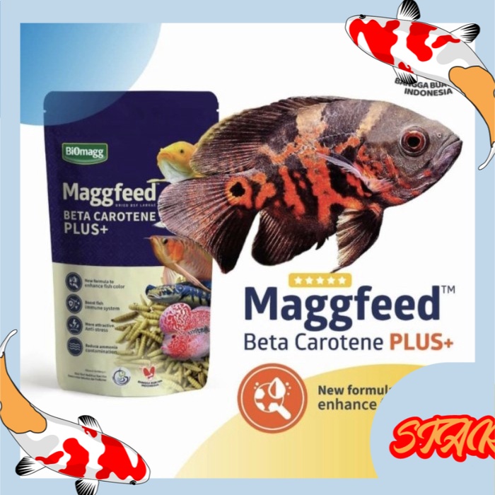 makanan ikan kura karnivora maggfeed beta carotene plus 100 gr unggu