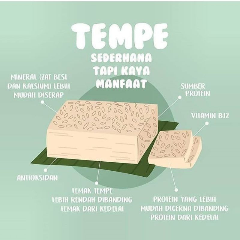 Tempe Mentah Gurih | Per Papan