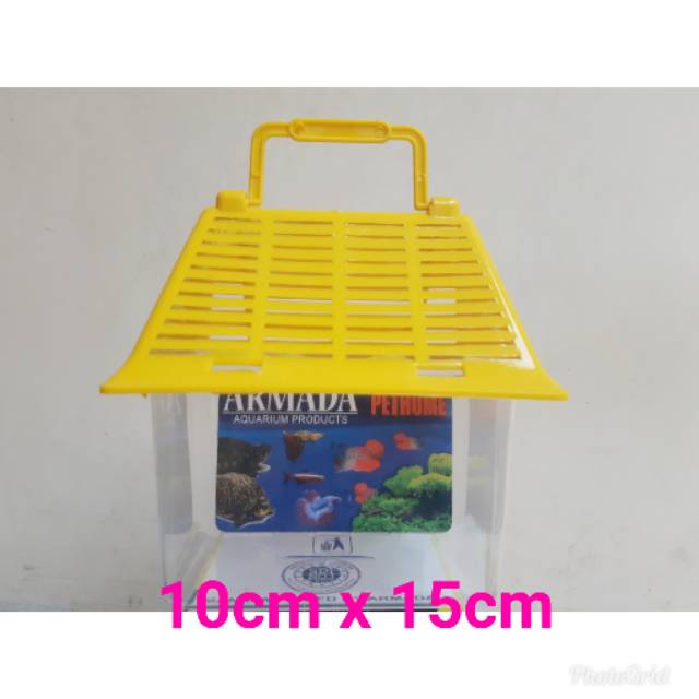 Toples kura - kura - aquarium ikan cupang - aquarium kecil