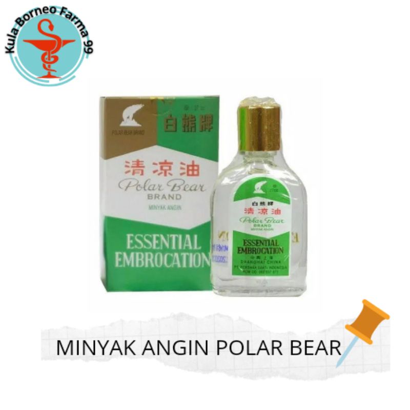 Minyak Angin Beruang / Polar Bear