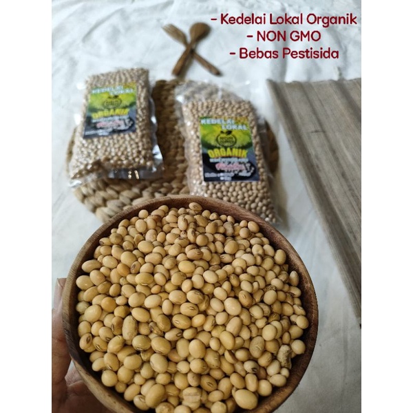 KEDELAI ORGANIK LOKAL NON GMO BEBAS PESTISIDA