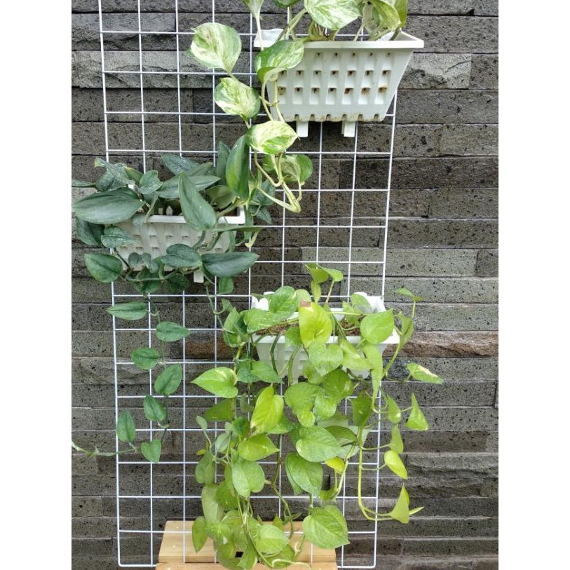 ➻ Rak Kawat / Rak Aksesoris serbaguna / Rak Gantung tanaman ♣